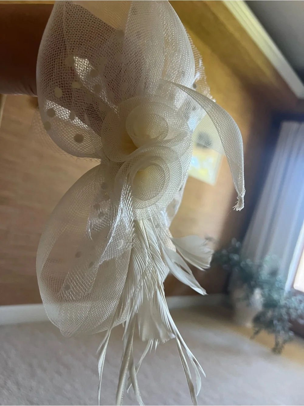 Fascinator Hat - Wavy Brim Mesh Fascinator feather quill headband